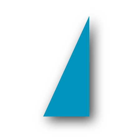 Sección figura