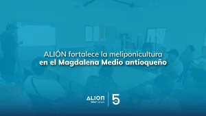 ALIÓN fortalece la meliponicultura en el Magdalena Medio antioqueño
