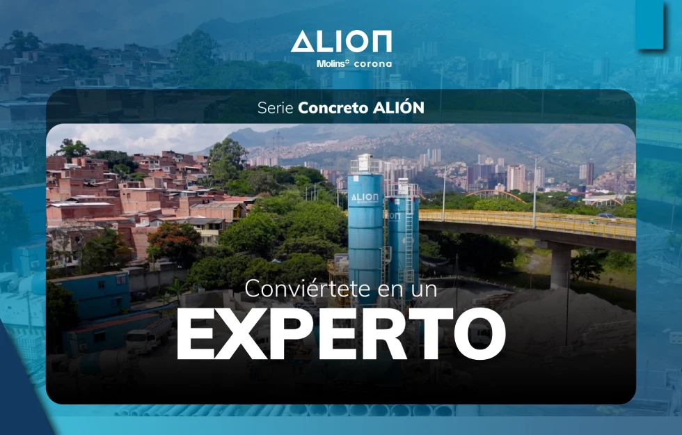 Conviértete En Un Experto
